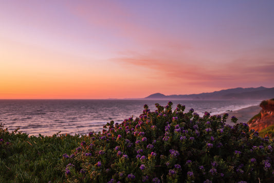 Sunset Hues
